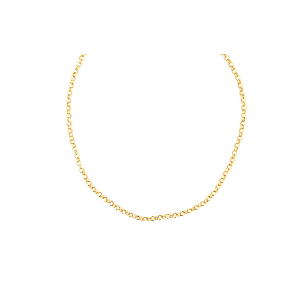 A delicate gold chain necklace arranged in a U-shape against a solid white background.